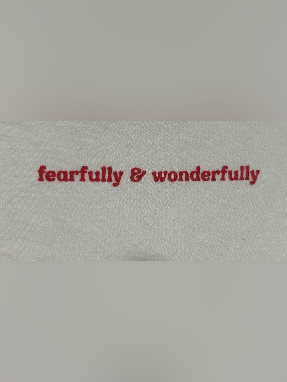 Graphic Tee with "fearfully & wonderfully" Red Script
